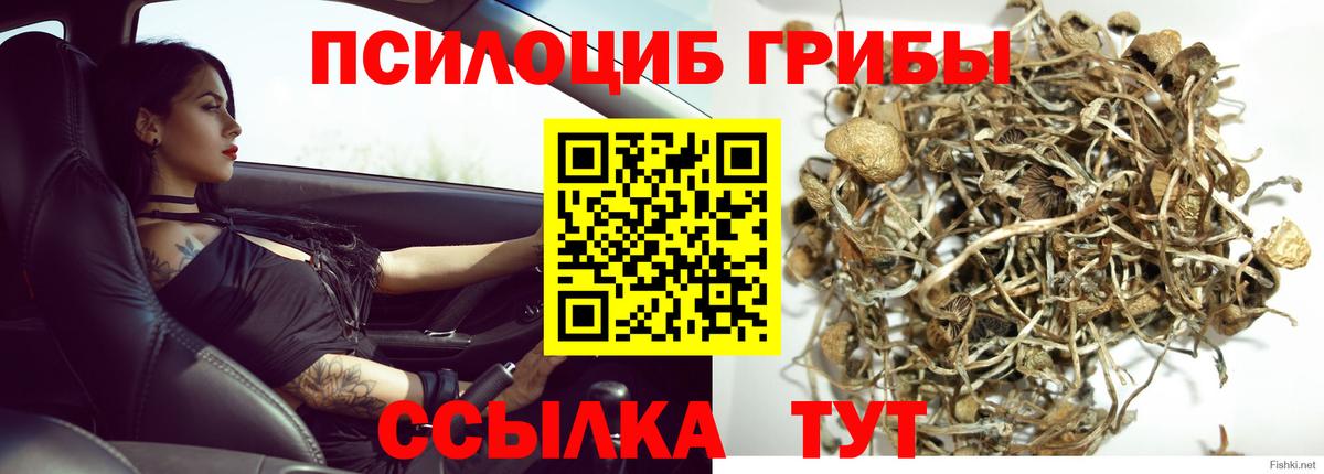 Галлюциногенные грибы Magic Shrooms  Вход с VPN  наркошоп  Магадан 
