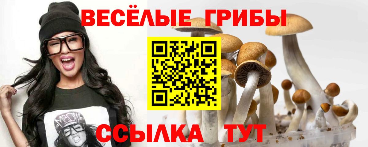 Псилоцибиновые грибы Cubensis Магадан